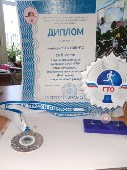 ФКСТИВАЛЬ ФСК ГТО.